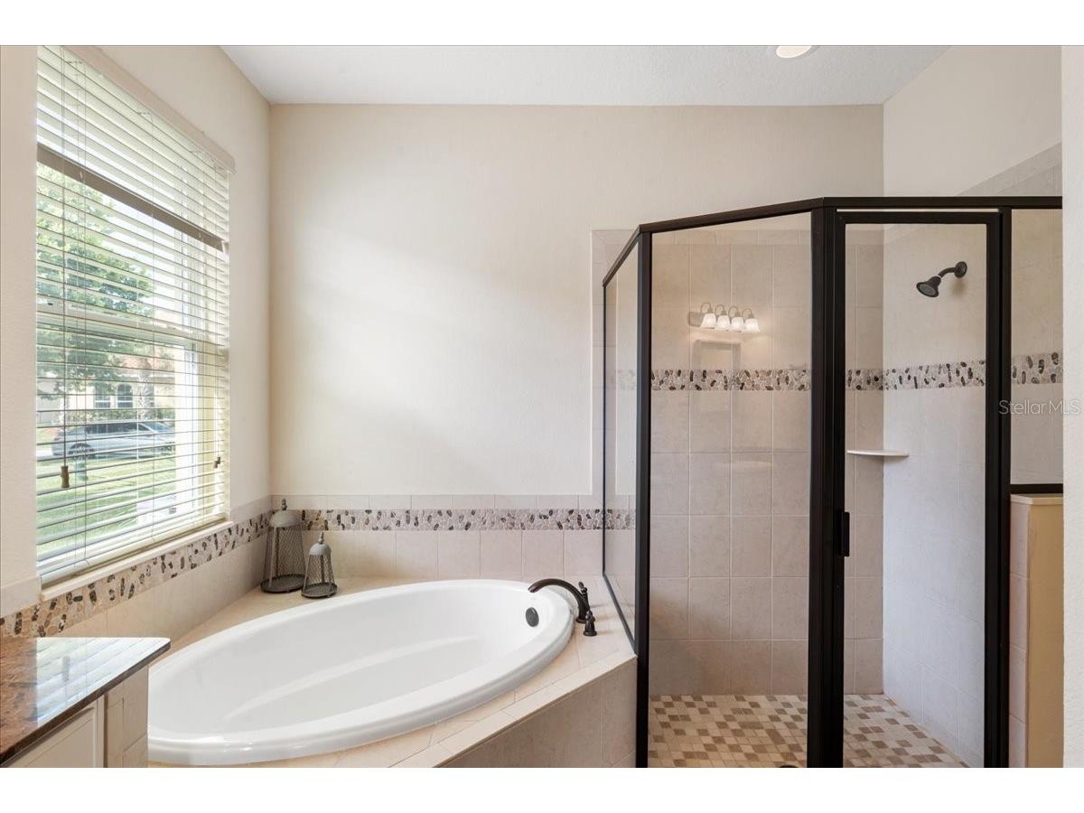 3801 Bowfin Trail Kissimmee FL 34746 - LAKE BELLALAGO S5151840 image29