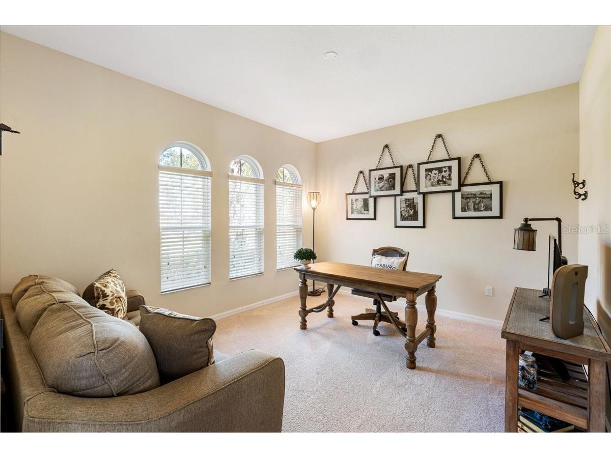 3801 Bowfin Trail Kissimmee FL 34746 - LAKE BELLALAGO S5151840 image9