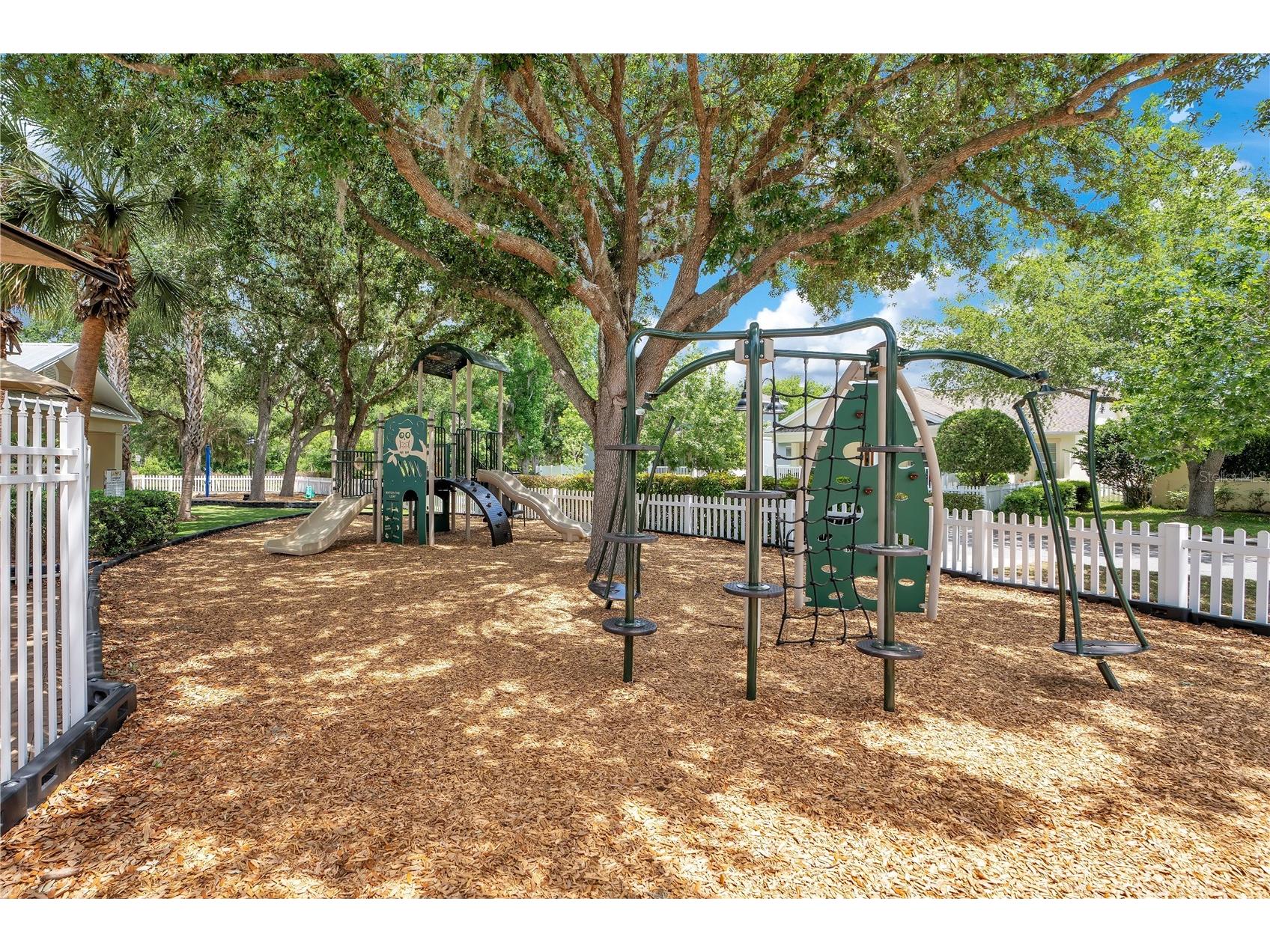 3801 Herlong Street New Port Richey FL 34655 TB8499946 image24