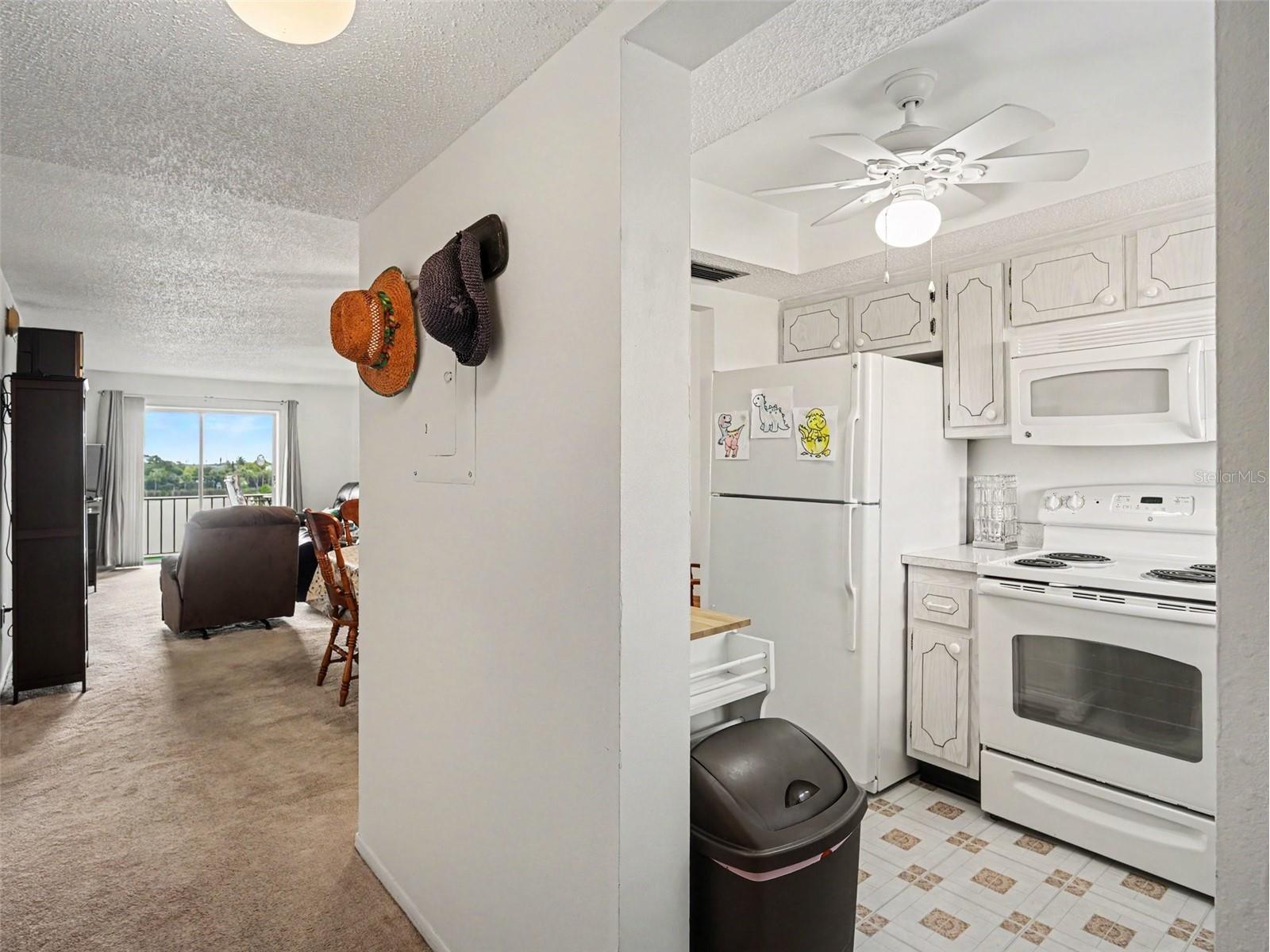 3801 Lake Bayshore Drive #H413 Bradenton FL 34205 TB8511356 image21