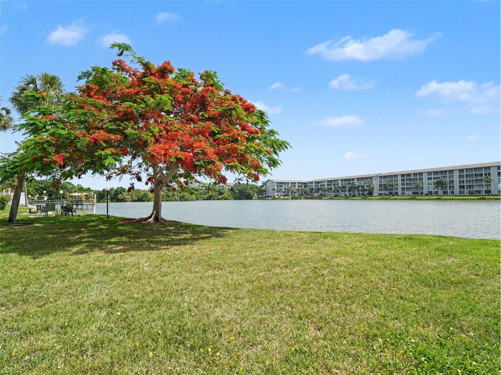 3801 Lake Bayshore Drive #H413 Bradenton FL 34205 TB8511356 image29