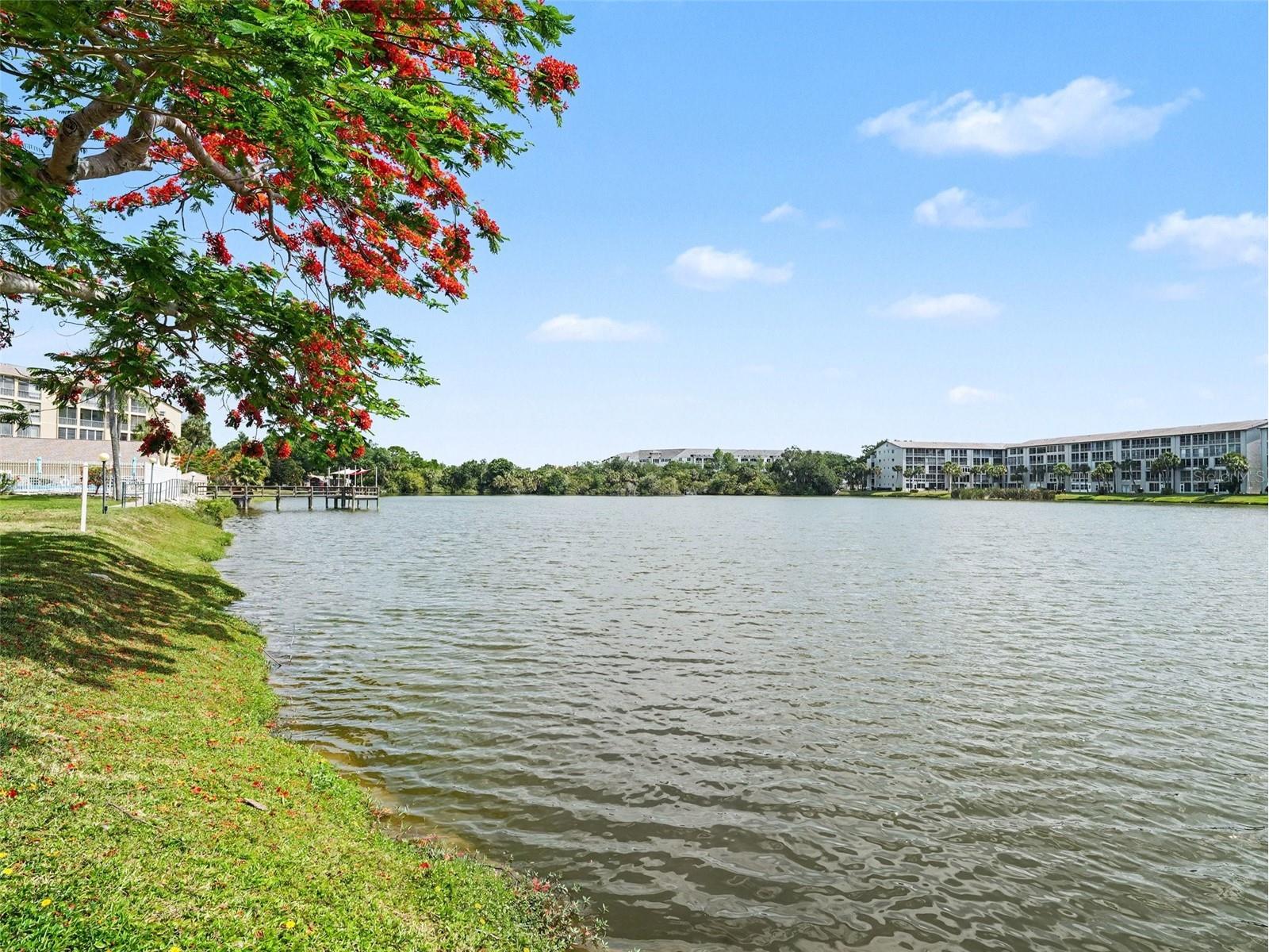 3801 Lake Bayshore Drive #H413 Bradenton FL 34205 TB8511356 image30