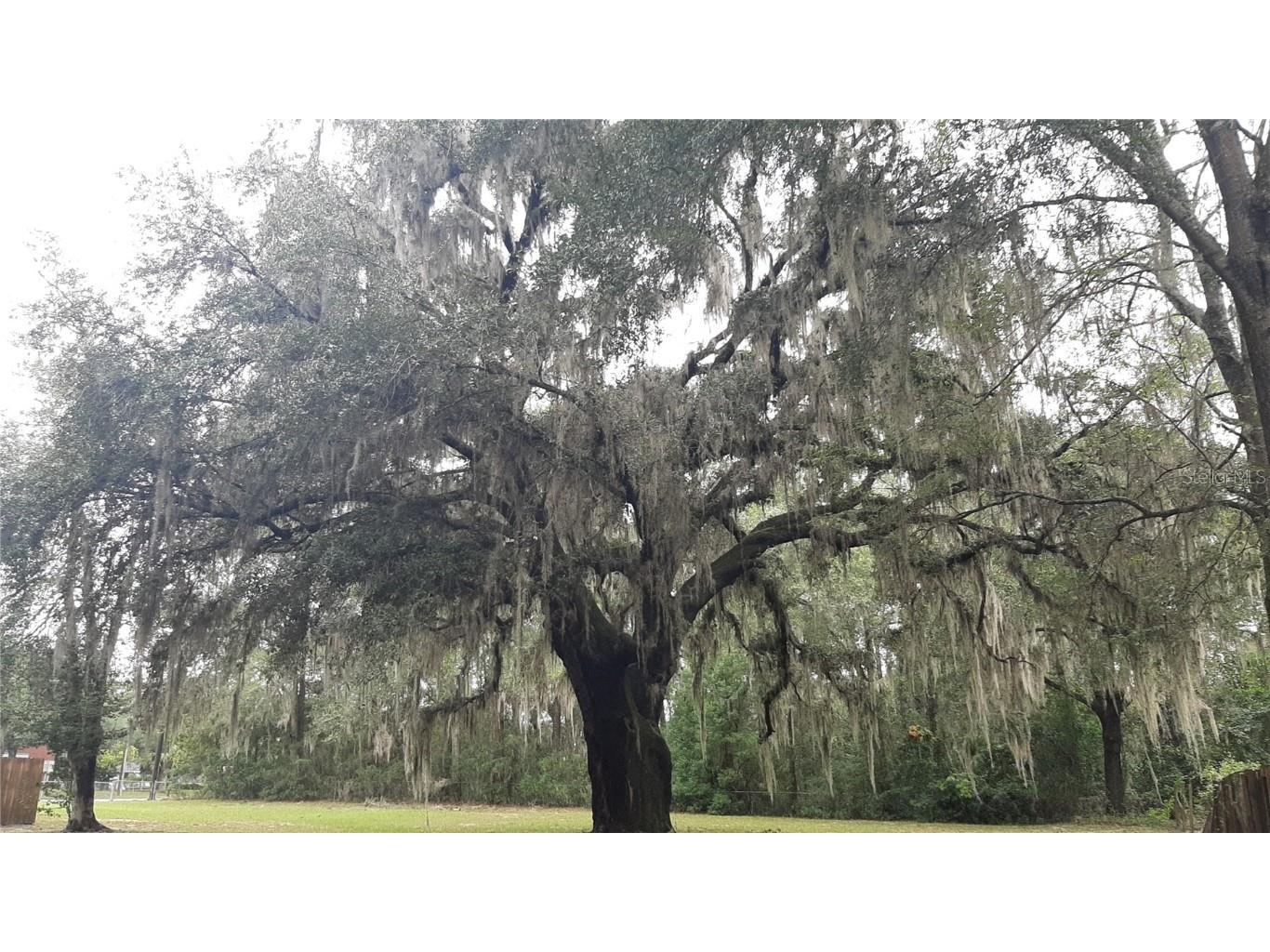 3801 NW 6th Street Gainesville FL 32609 GC534897 image21