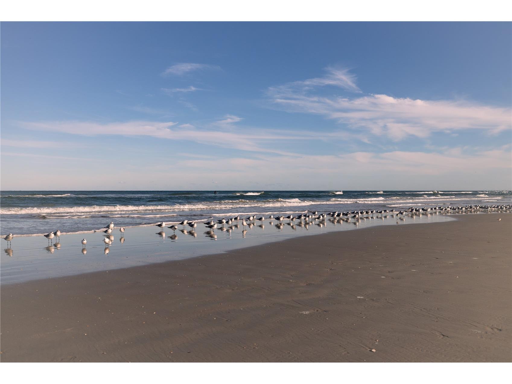 3801 S Atlantic Avenue #UT204 New Smyrna Beach FL 32169 NS1087131 image26