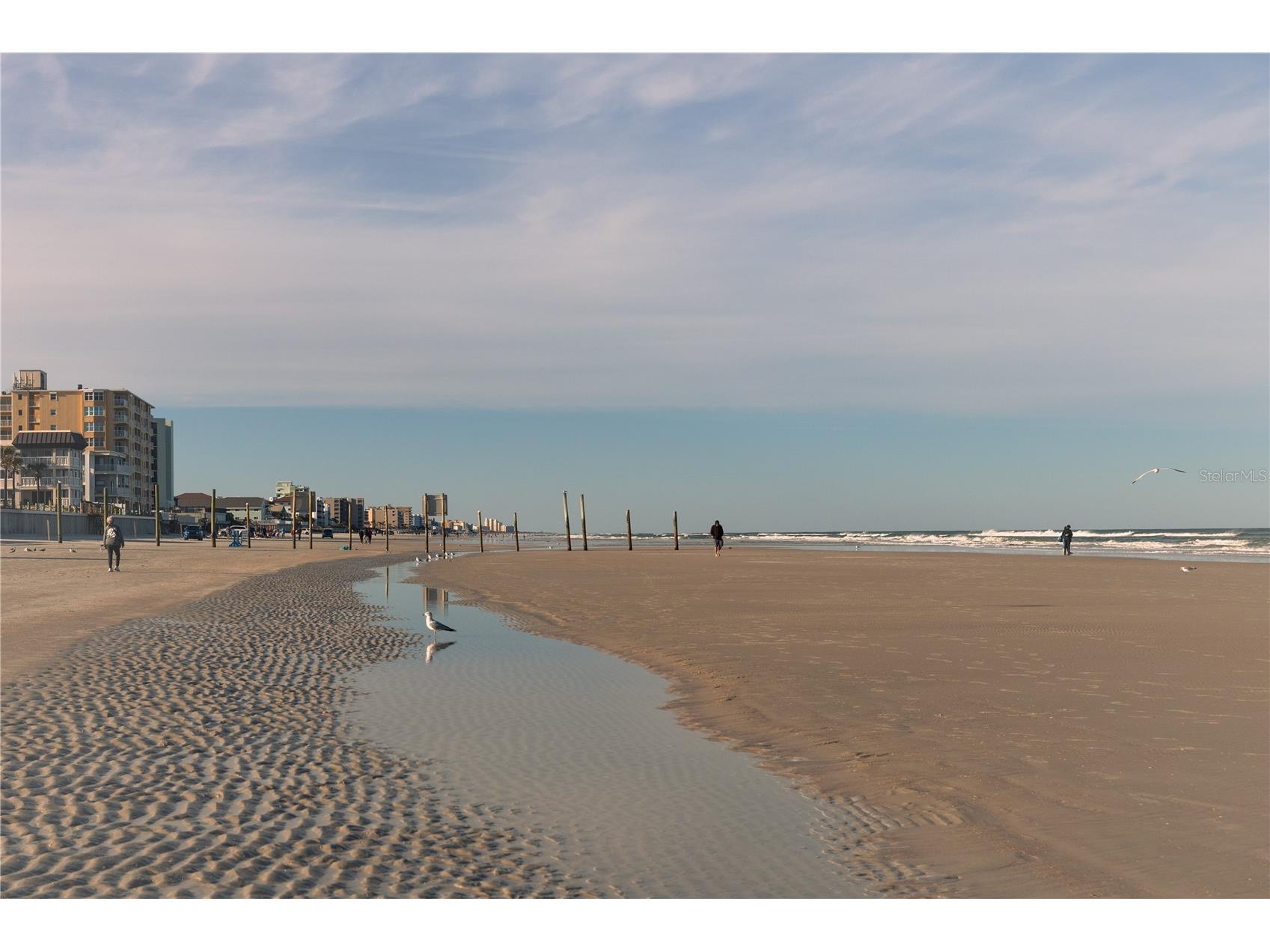 3801 S Atlantic Avenue #UT204 New Smyrna Beach FL 32169 NS1087131 image27