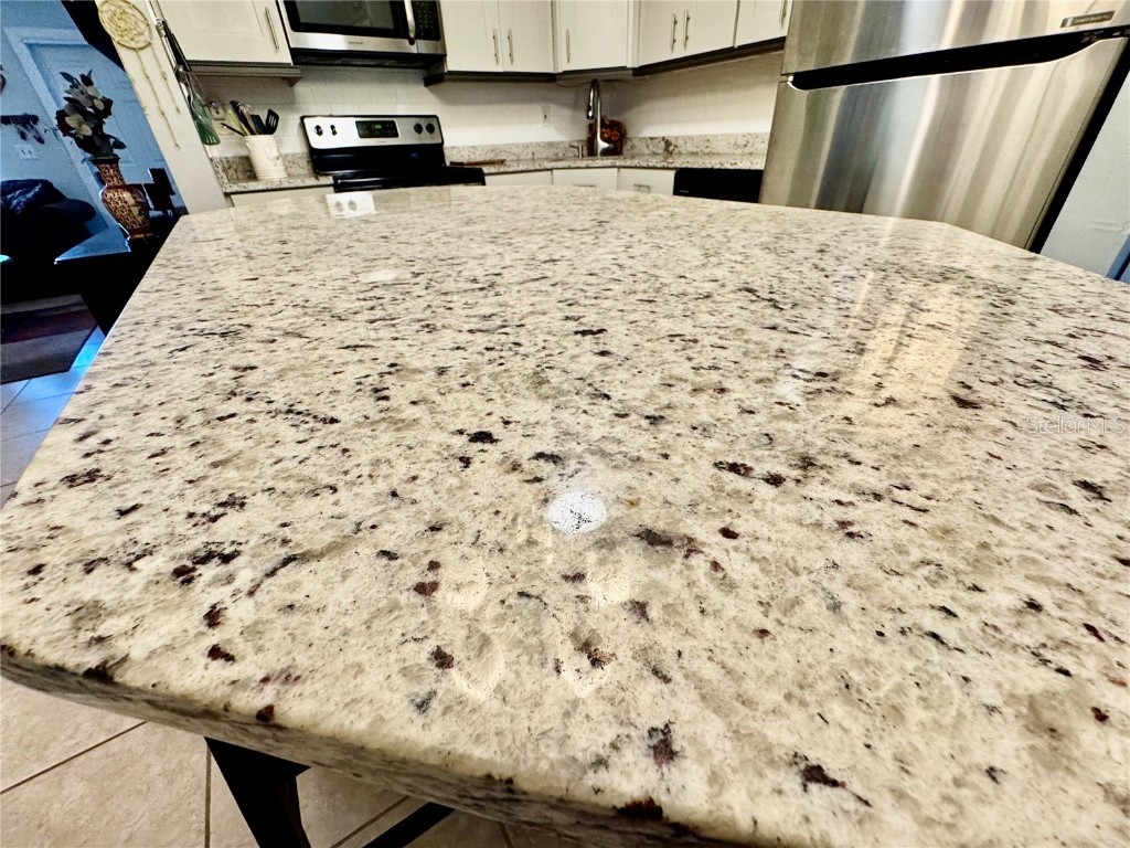 3802 42nd Street Court W #31 Bradenton FL 34205 A4672745 image14