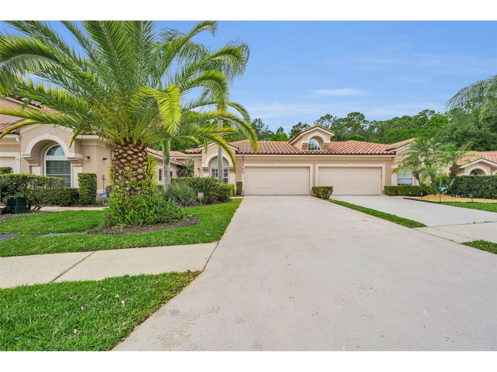 3802 Darston Street Palm Harbor FL 34685 TB8495348 image1