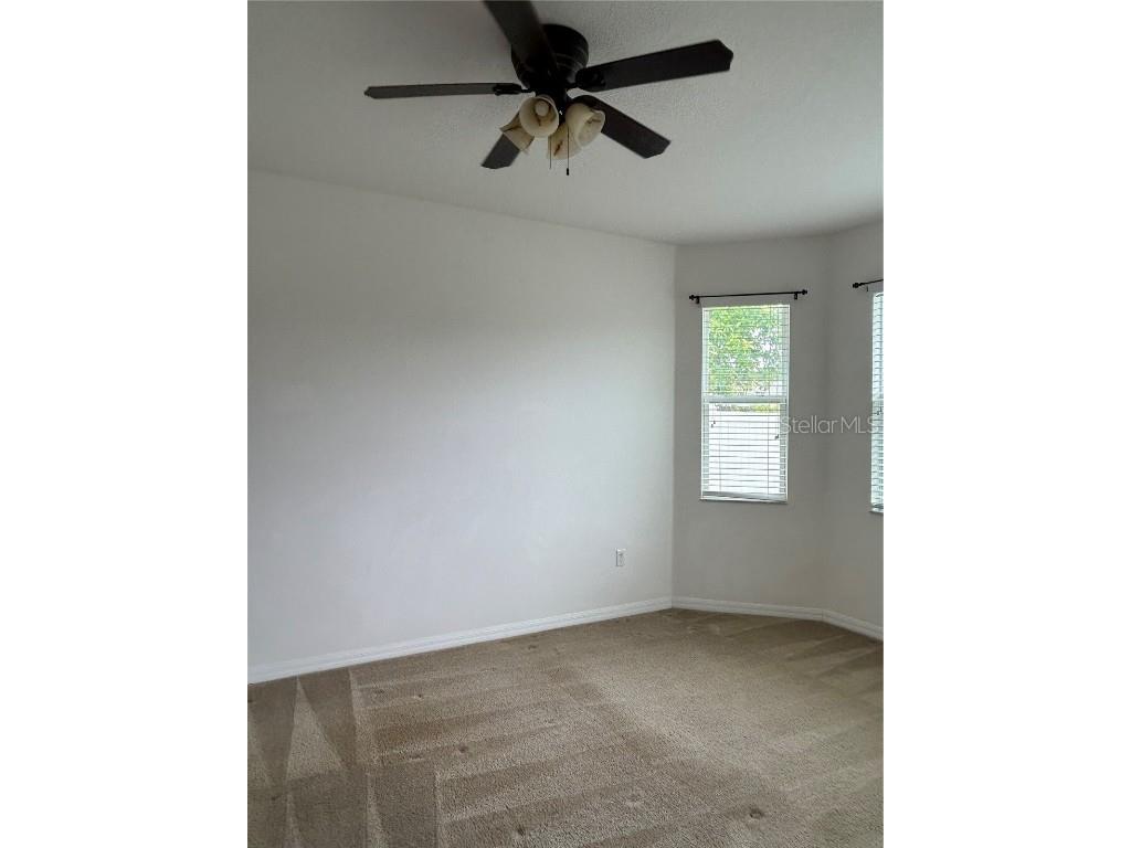 3802 Grecko Drive Wesley Chapel FL 33543 TB8403740 image10