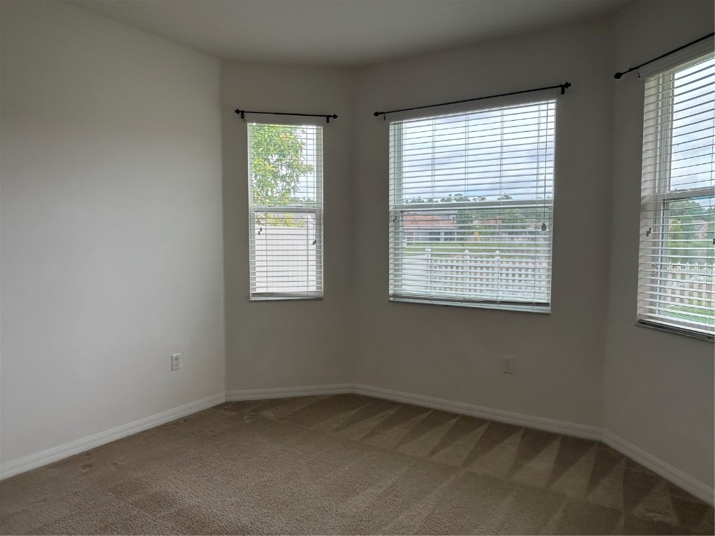 3802 Grecko Drive Wesley Chapel FL 33543 TB8403740 image11