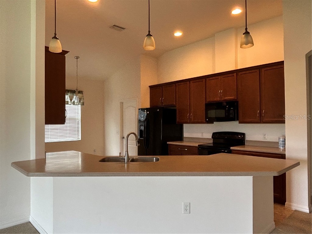 3802 Grecko Drive Wesley Chapel FL 33543 TB8403740 image3