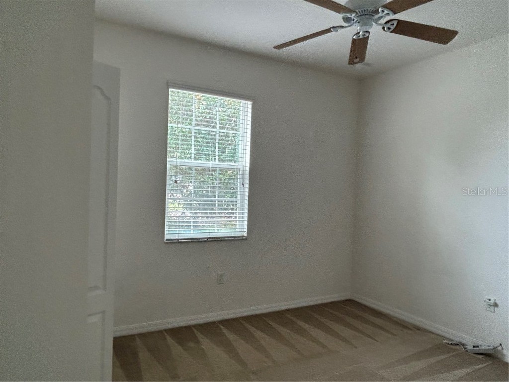 3802 Grecko Drive Wesley Chapel FL 33543 TB8403740 image7