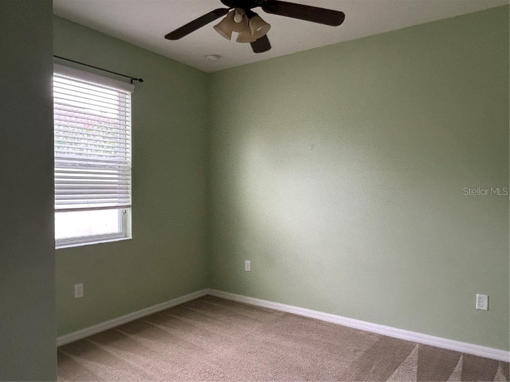 3802 Grecko Drive Wesley Chapel FL 33543 TB8403740 image8