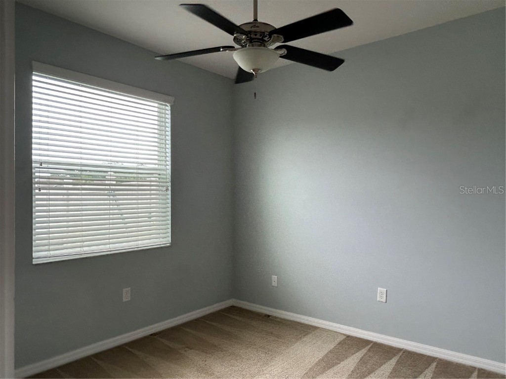 3802 Grecko Drive Wesley Chapel FL 33543 TB8403740 image9