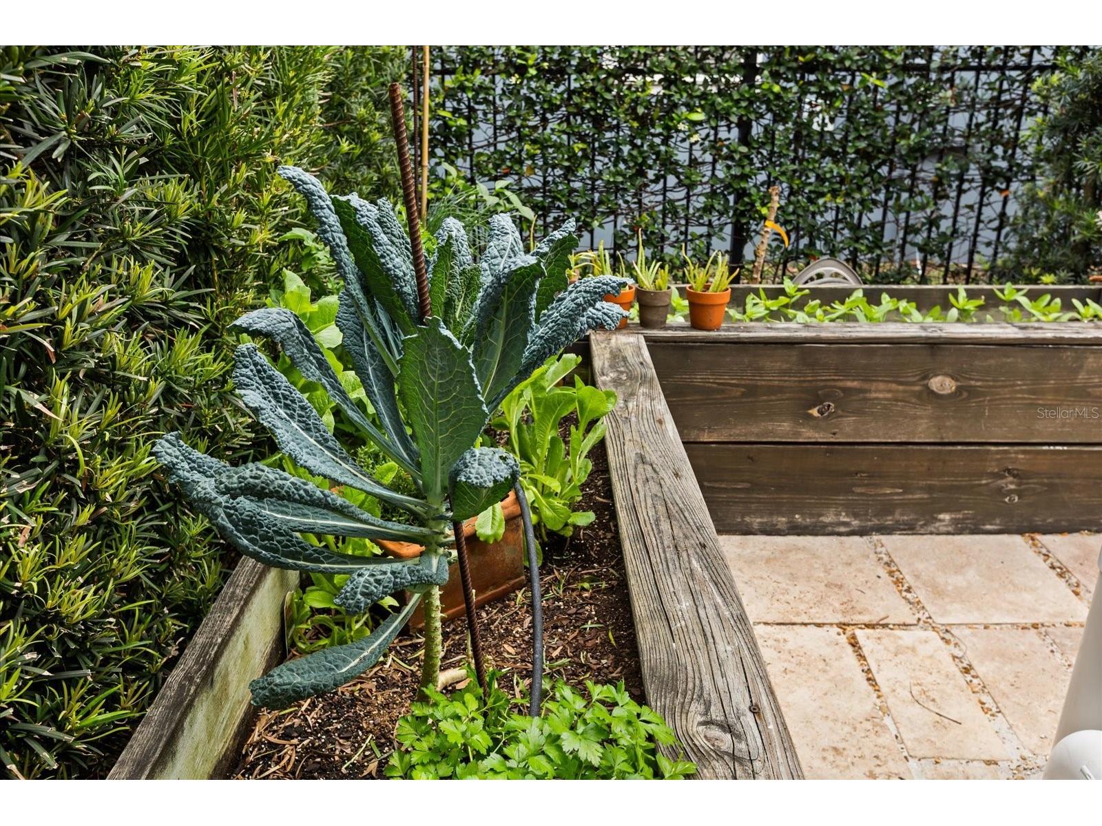 3802 Haws Lane Orlando FL 32814 O6392502 image36