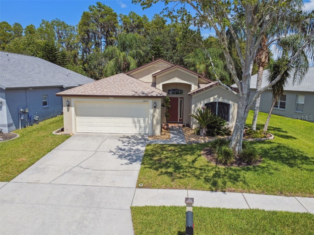 3802 Lockridge Drive Land O Lakes FL 34638 T3463575 image1