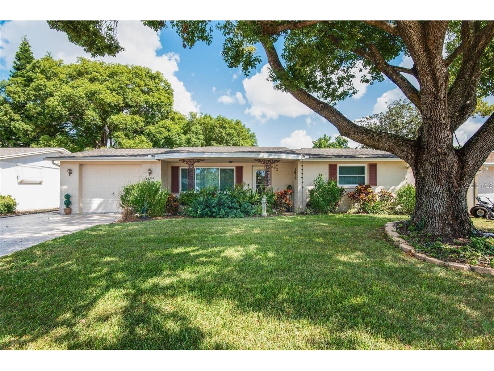 3802 Mynabird Drive New Port Richey FL 34652 TB8489631 image1