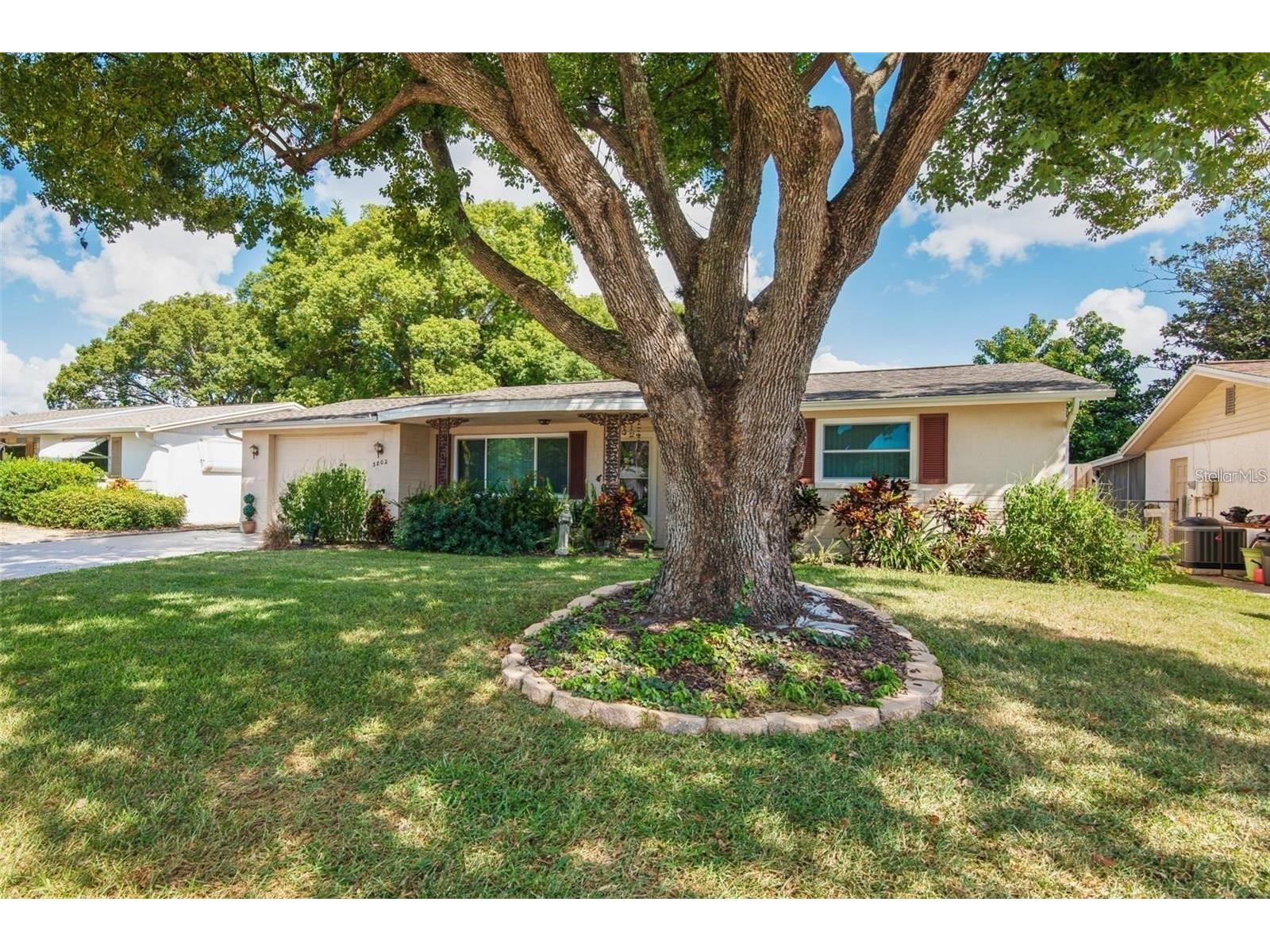 3802 Mynabird Drive New Port Richey FL 34652 TB8489631 image2