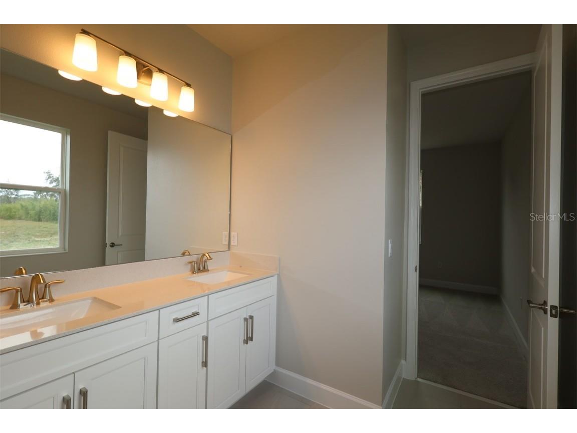 3802 Wolves Creek Place Apopka FL 32712 O6341322 image43