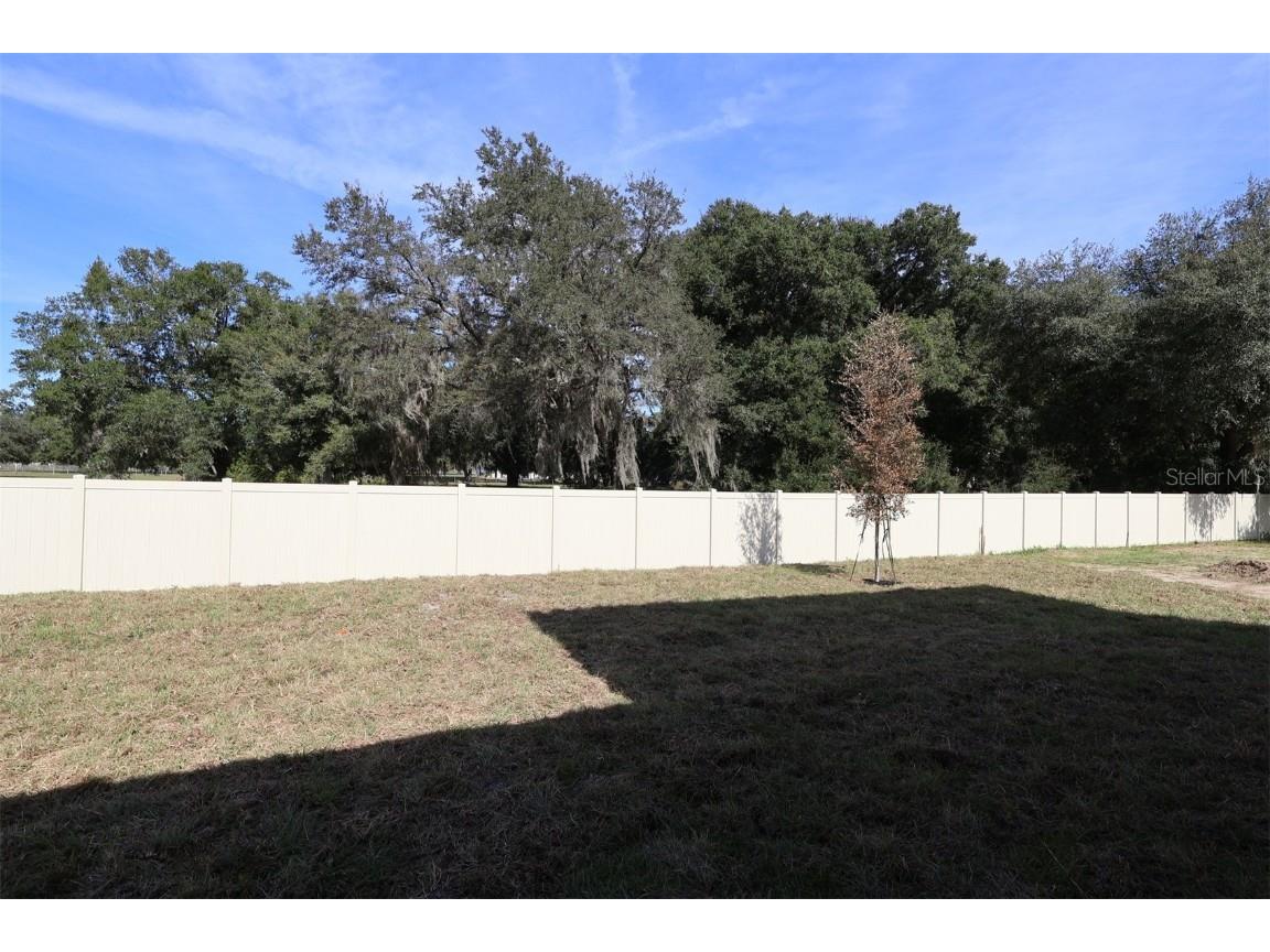 3802 Wolves Creek Place Apopka FL 32712 O6341322 image51