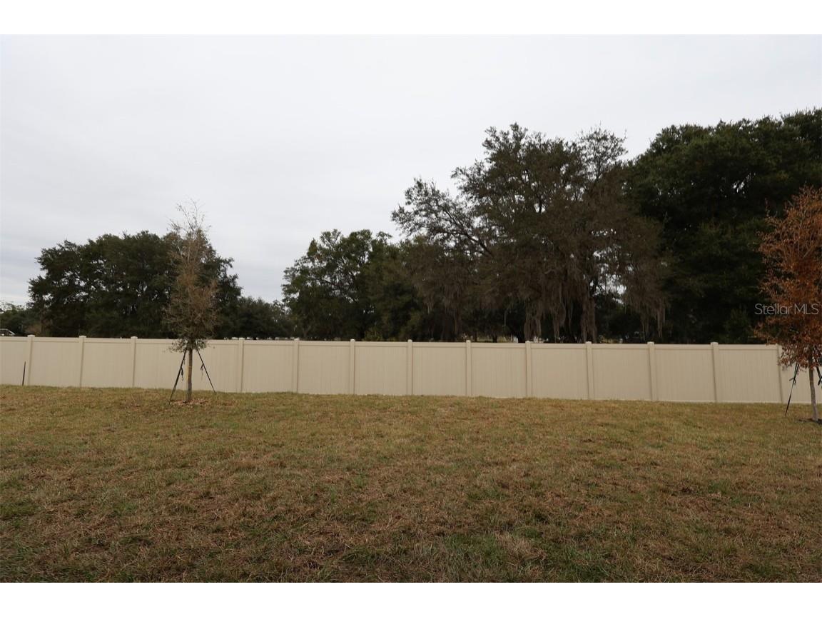 3802 Wolves Creek Place Apopka FL 32712 O6341322 image52