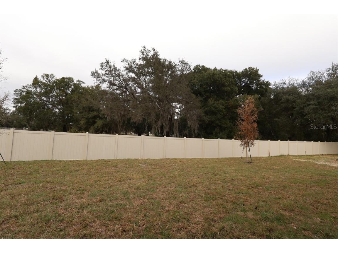 3802 Wolves Creek Place Apopka FL 32712 O6341322 image53