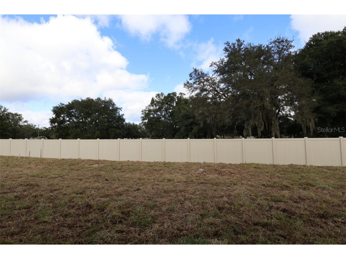 3802 Wolves Creek Place Apopka FL 32712 O6341322 image54