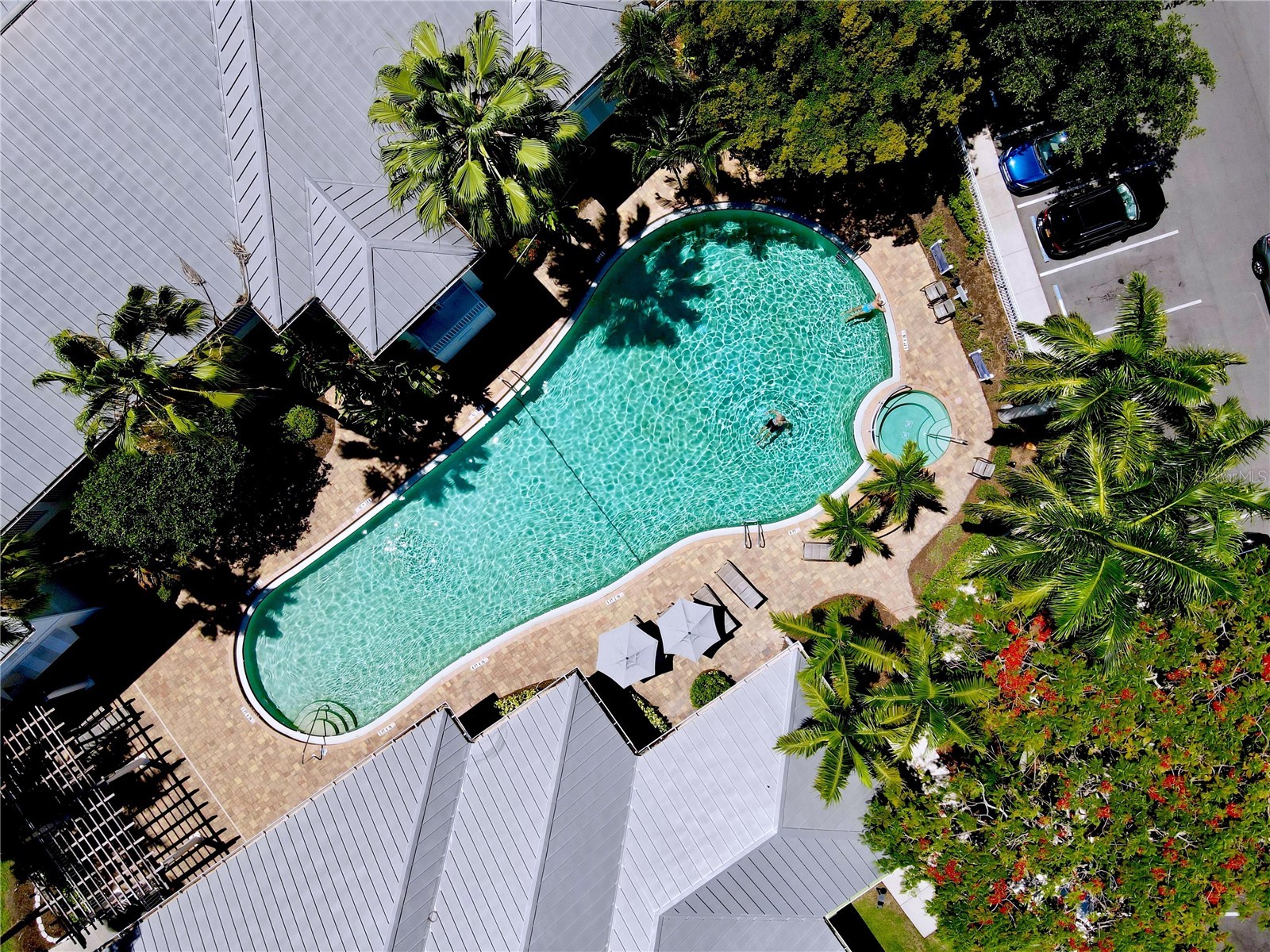 3803 54th Drive W #102 Bradenton FL 34210 A4688496 image35