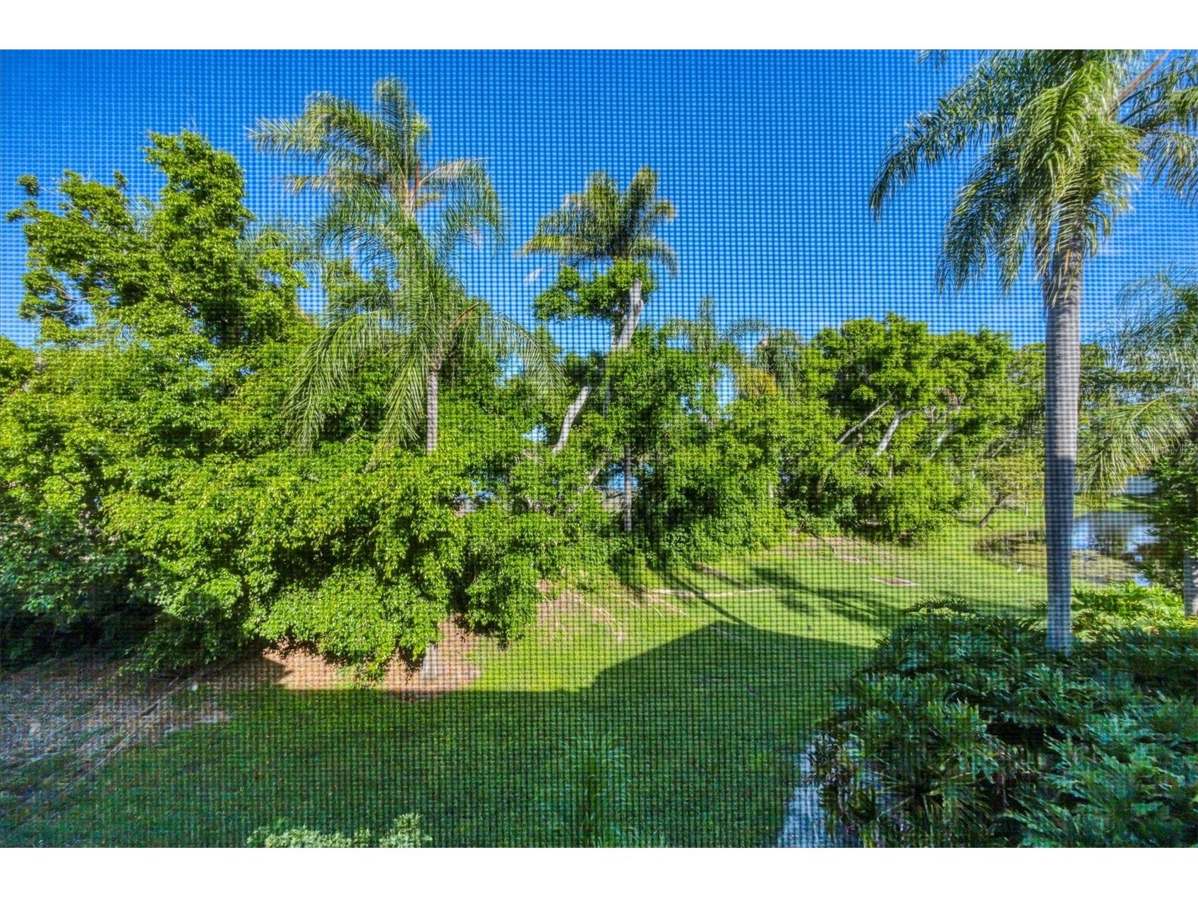 3803 54th Drive W #203 Bradenton FL 34210 A4686840 image26