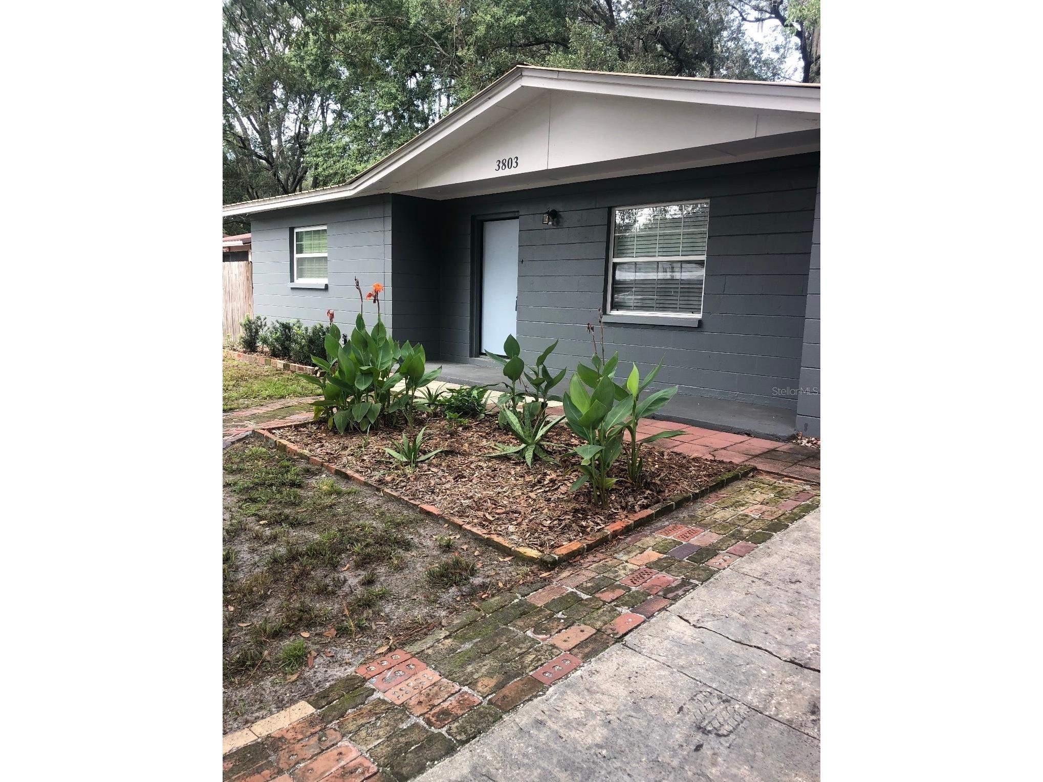 3803 NE 13th Street Gainesville FL 32609 NS1088804 image31