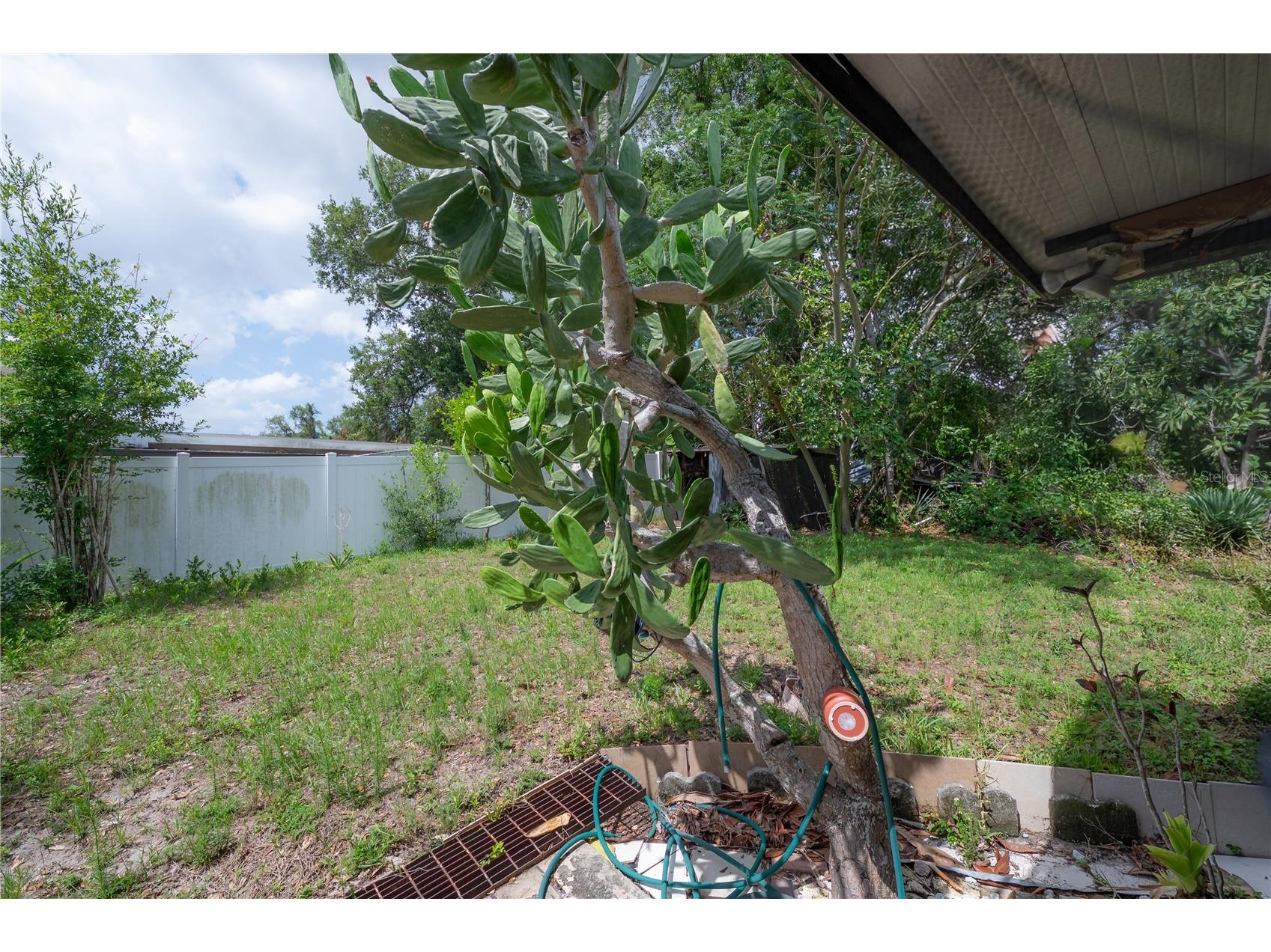 3803 River Grove Drive Tampa FL 33610 TB8512225 image23
