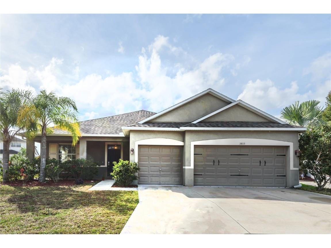 3803 Tristram Loop Land O Lakes FL 34638 T3421667 image1