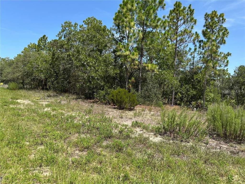 3803 W Keene Lane Dunnellon FL 34433 OM705277 image1