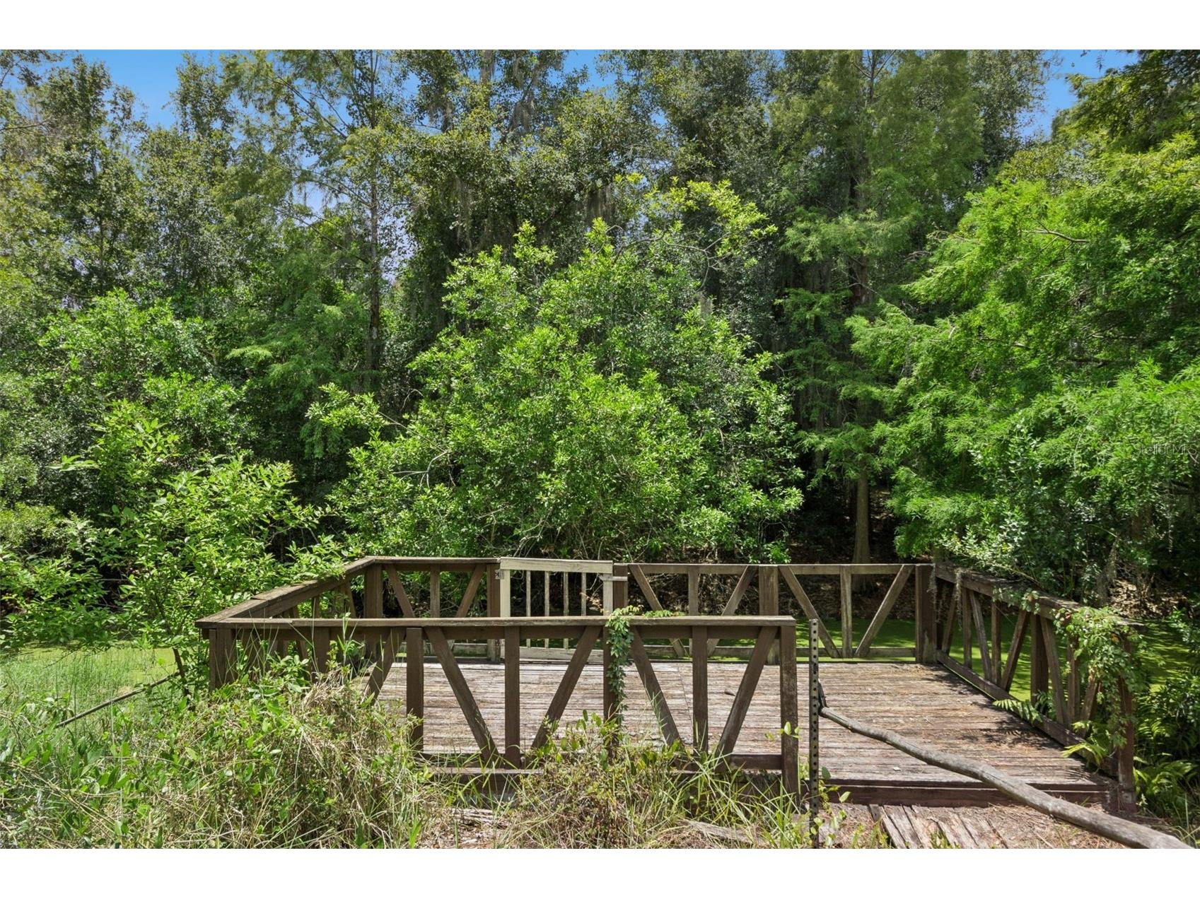 3803 Young Road Lake Wales FL 33898 - LAKE PIERCE CANAL SYSTEM L4963161 image17