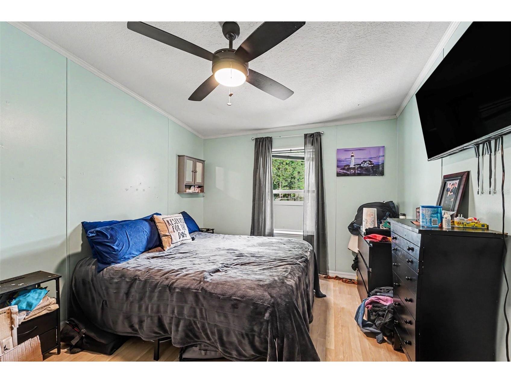38030 Lawanda Loop Zephyrhills FL 33542 TB8517127 image21