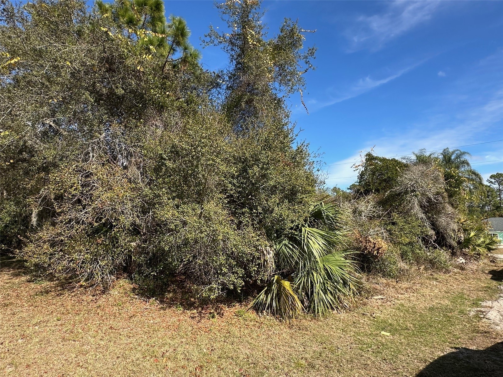 3804 Colmart Street Deltona FL 32738 O6376619 image1