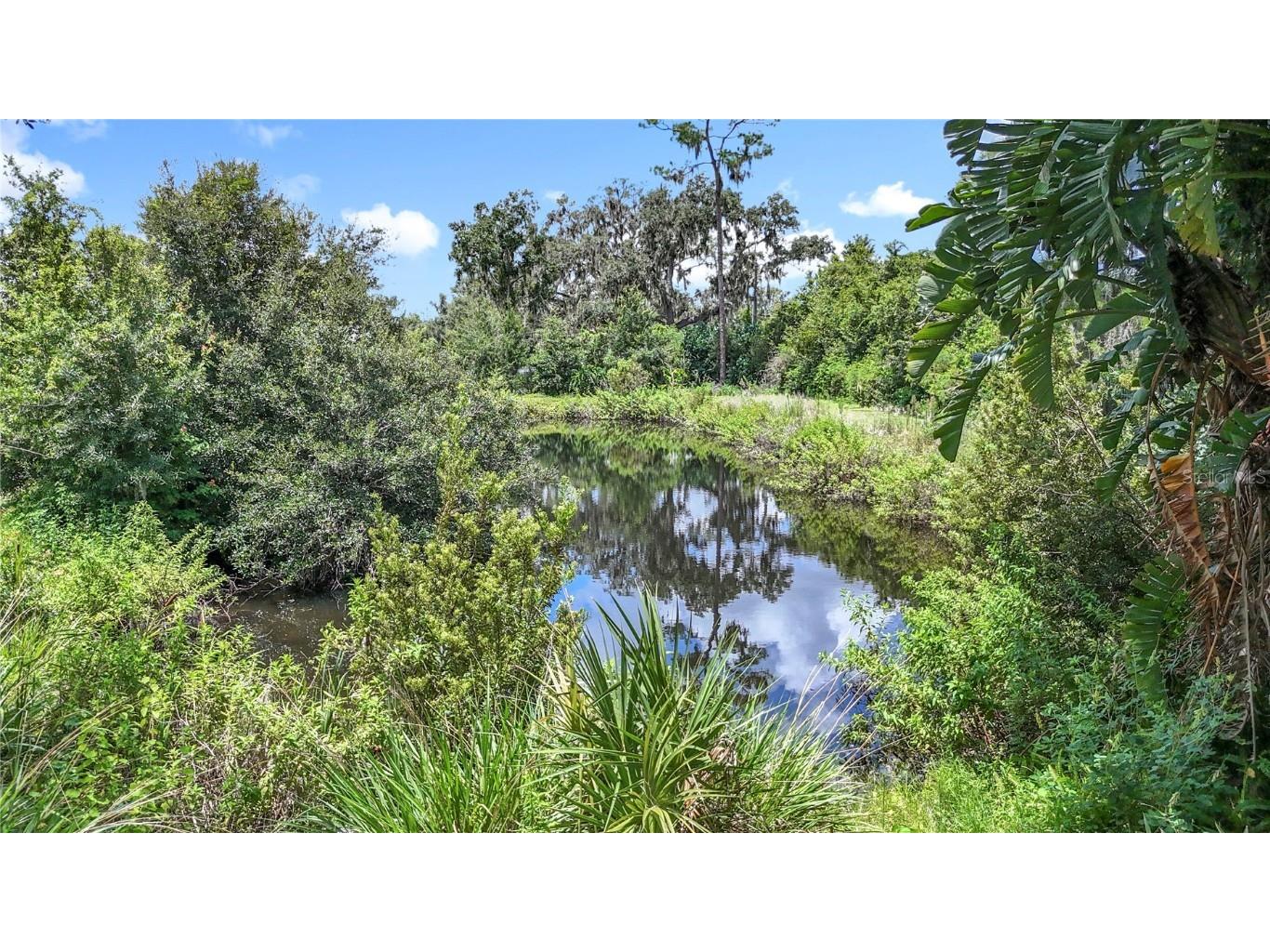 3804 Gallagher Road Dover FL 33527 TB8414259 image86