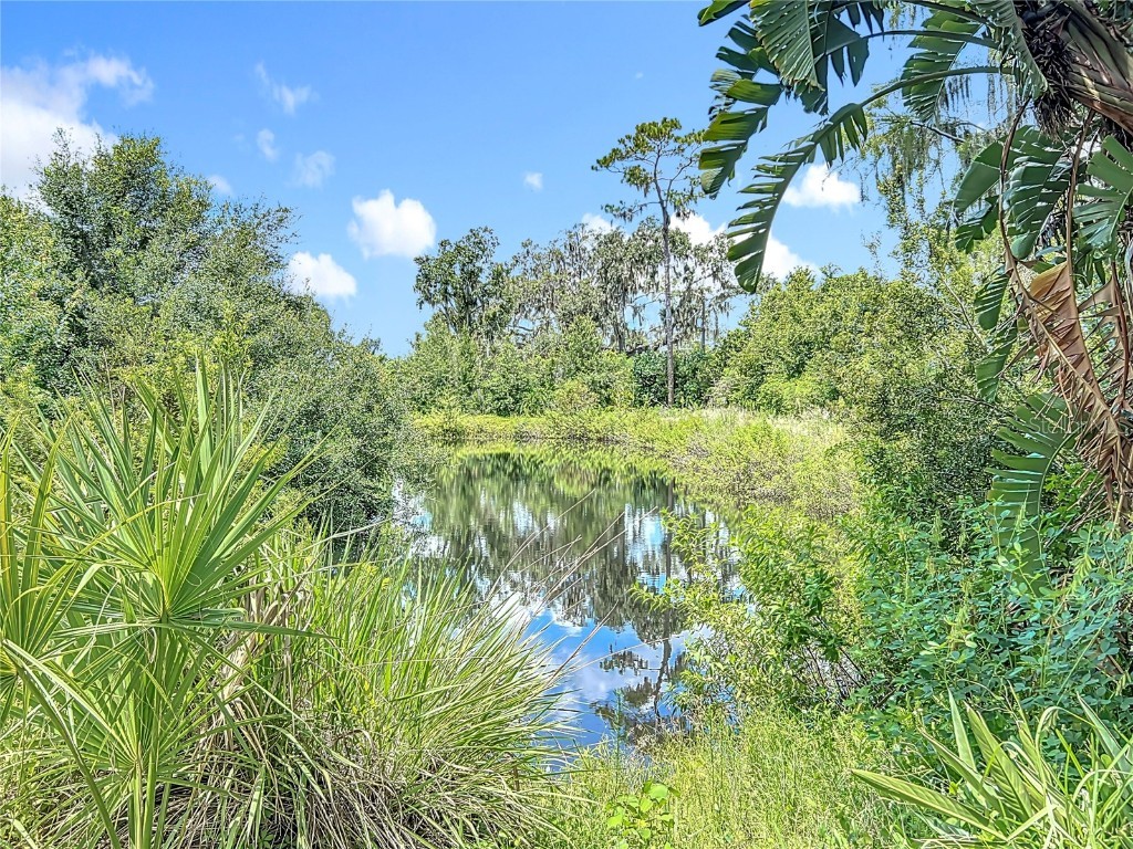 3804 Gallagher Road Dover FL 33527 TB8414259 image91