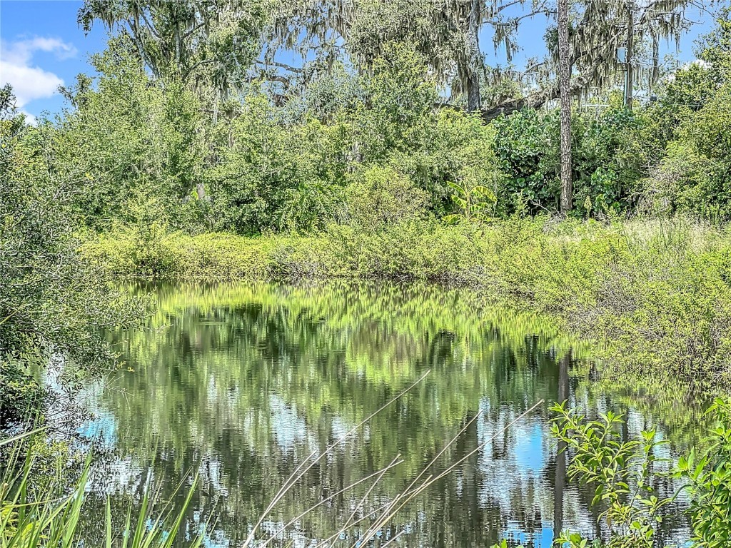 3804 Gallagher Road Dover FL 33527 TB8414259 image92