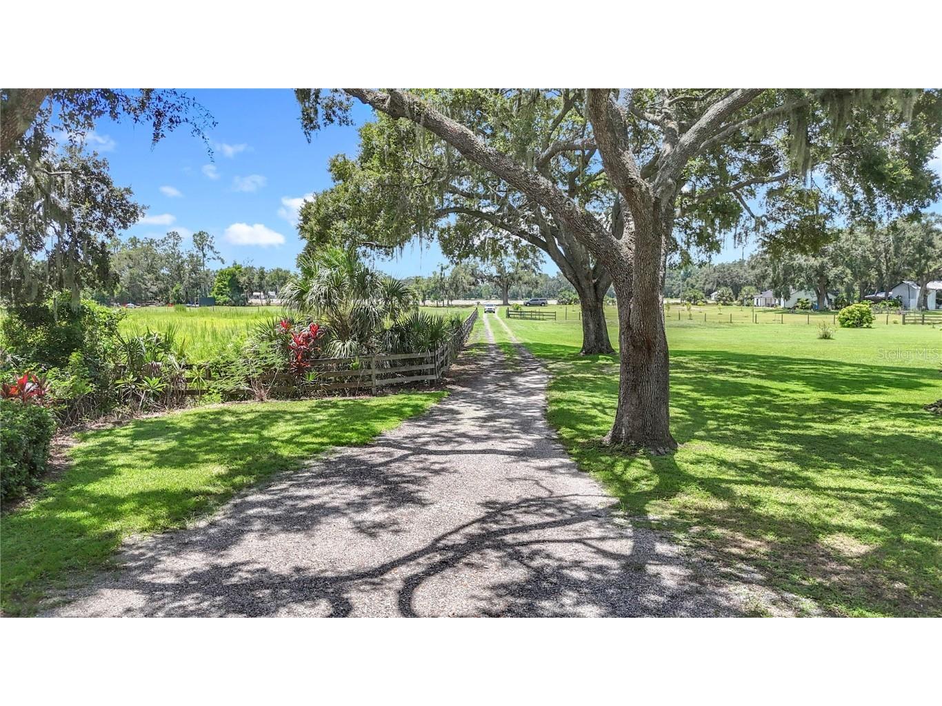 3804 Gallagher Road Dover FL 33527 TB8414259 image96