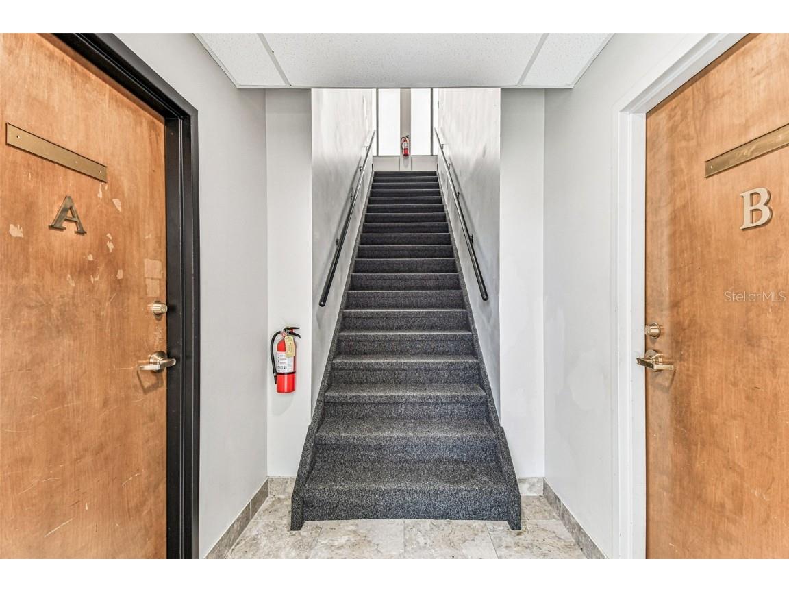 3804 Gunn Highway Tampa FL 33618 TB8455621 image2