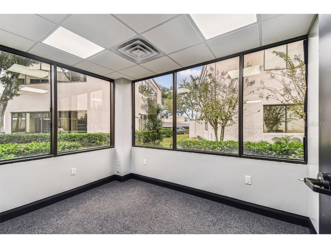 3804 Gunn Highway Tampa FL 33618 TB8455621 image6