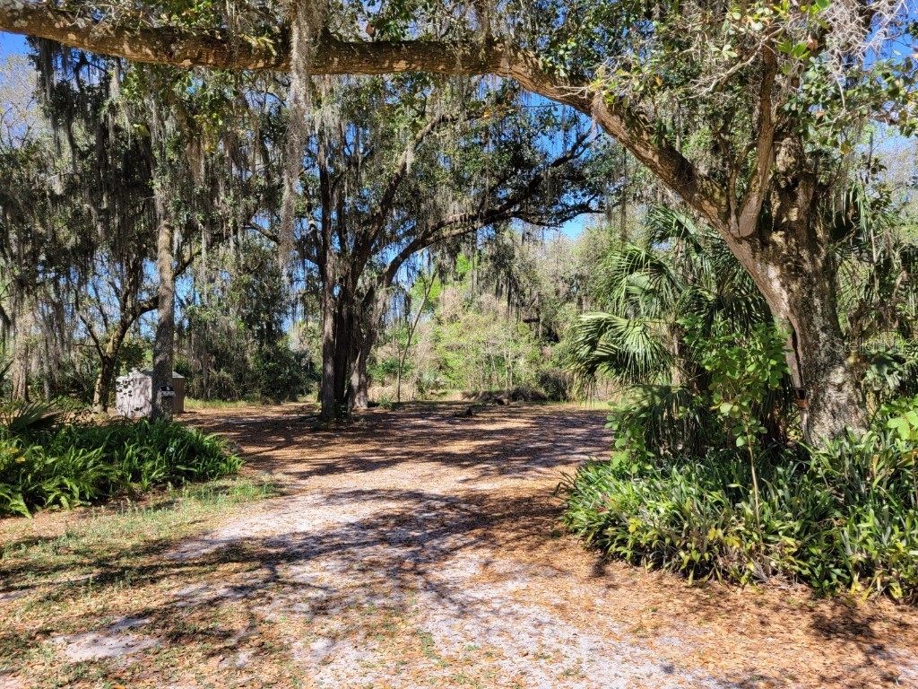 3804 Medulla Road Plant City FL 33566 T3357735 image1
