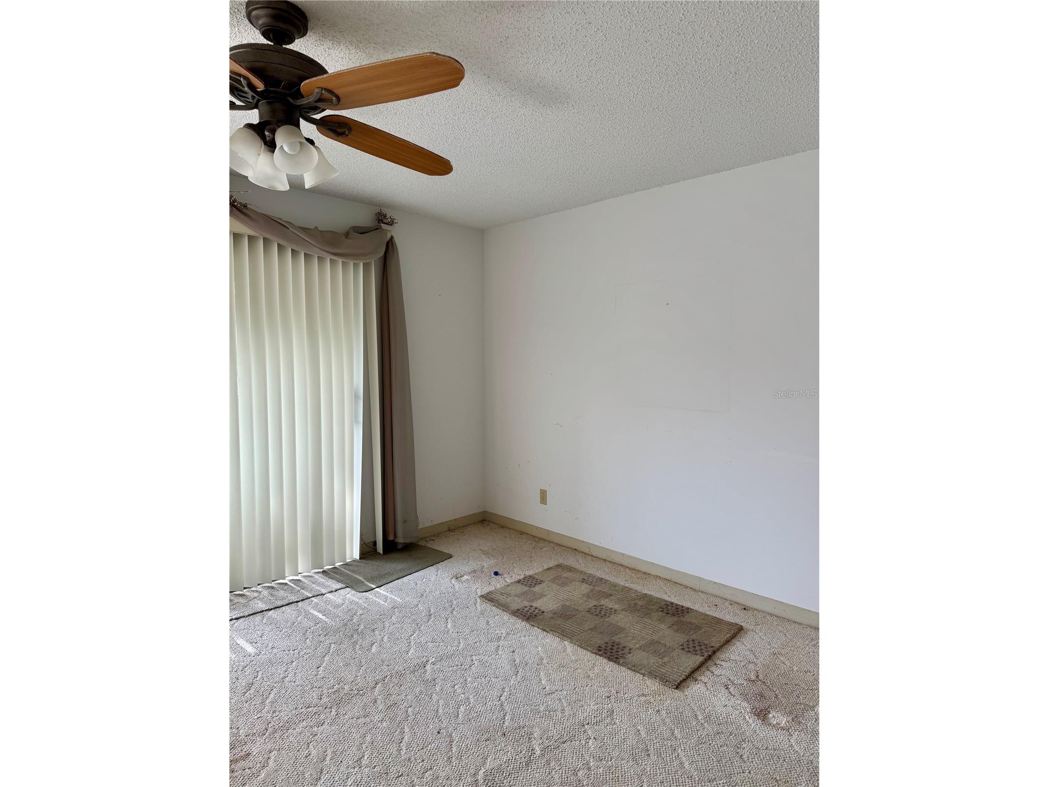3804 N Oak Drive #X21 Tampa FL 33611 TB8505743 image3