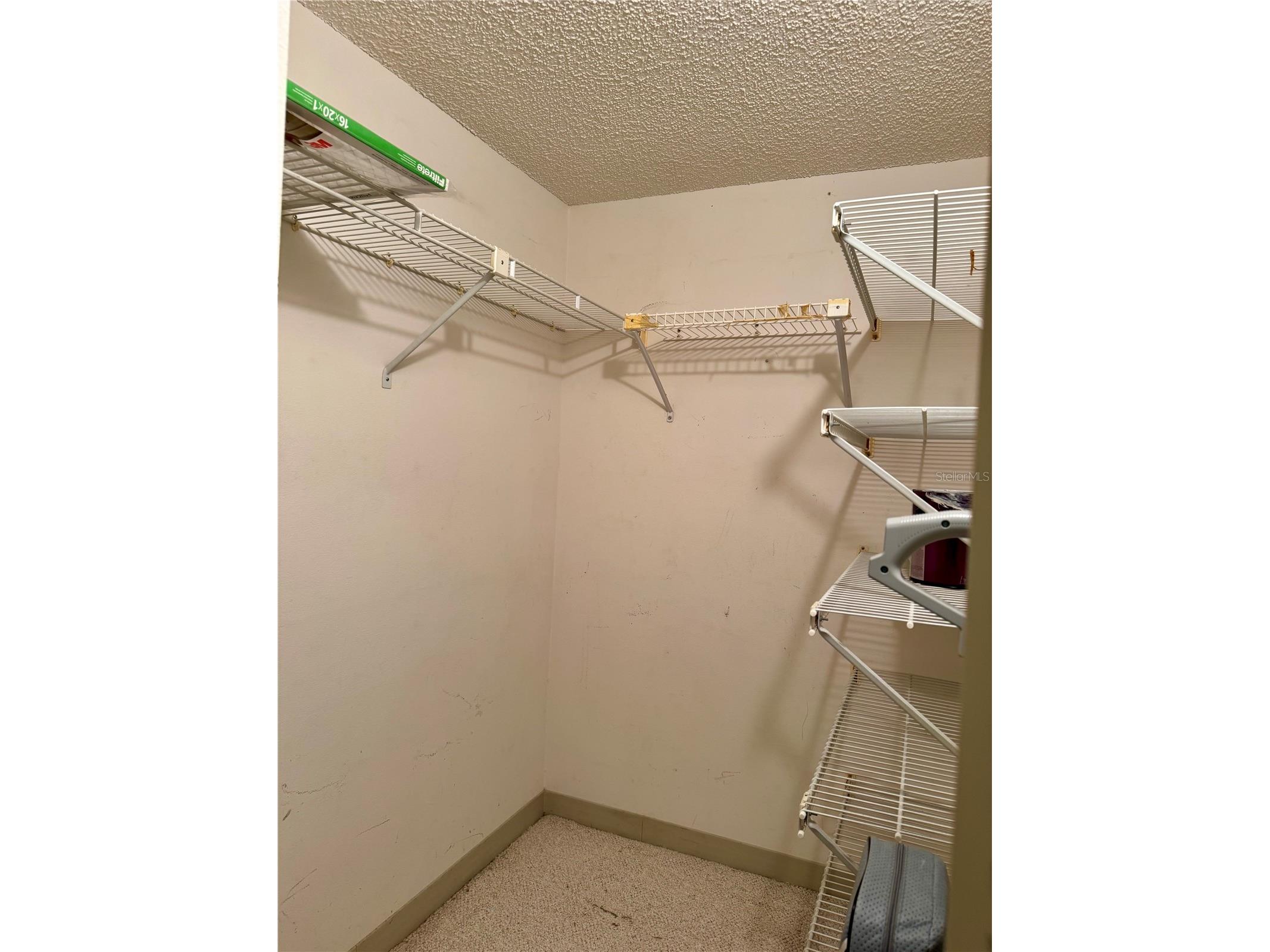 3804 N Oak Drive #X21 Tampa FL 33611 TB8505743 image6