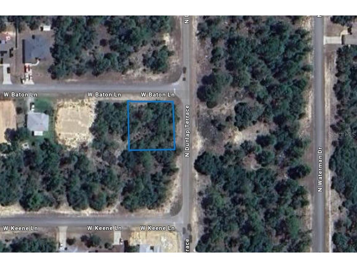 3804 W Baton Lane Citrus Springs FL 34433 S5125568 image1