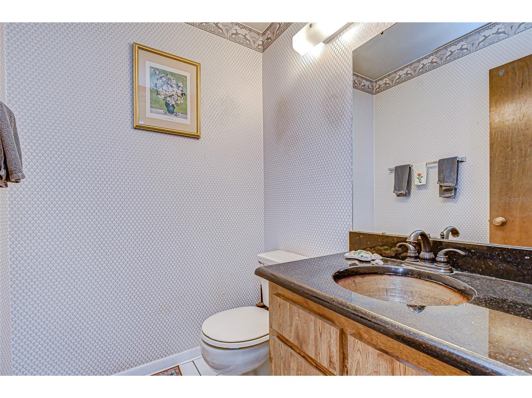 3805 Bell Grande Drive Valrico FL 33596 TB8442361 image10