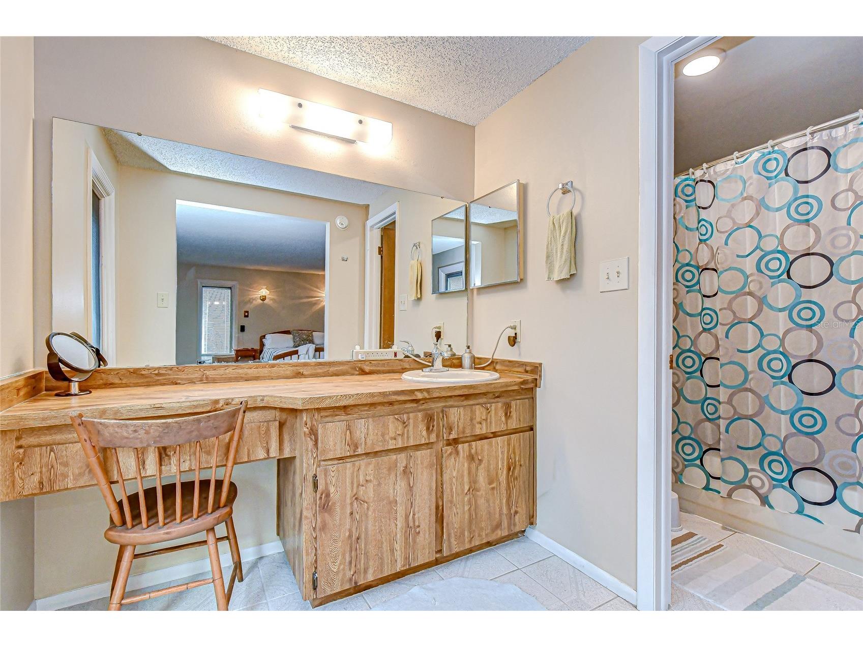 3805 Bell Grande Drive Valrico FL 33596 TB8442361 image23