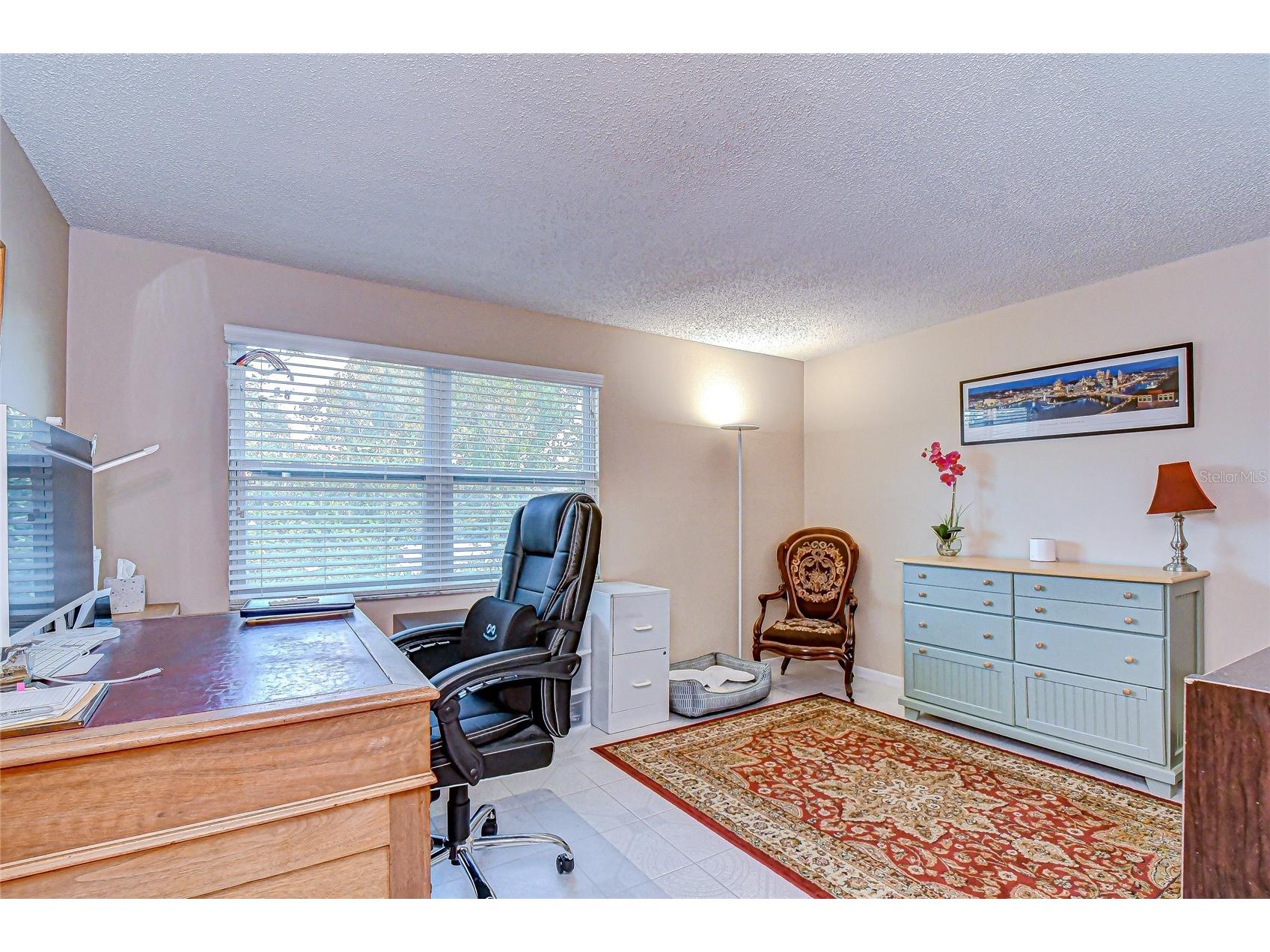 3805 Bell Grande Drive Valrico FL 33596 TB8442361 image24