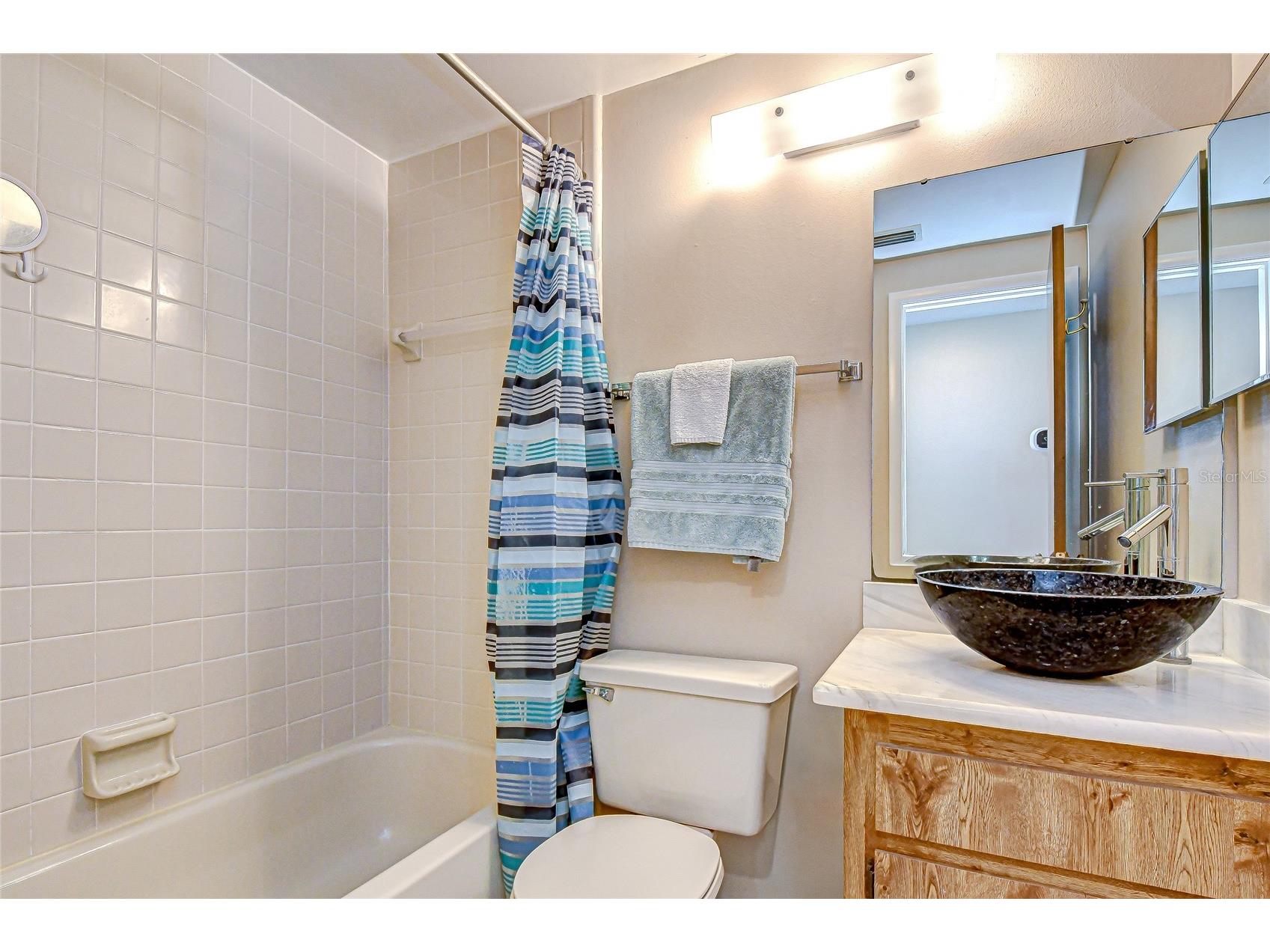 3805 Bell Grande Drive Valrico FL 33596 TB8442361 image26