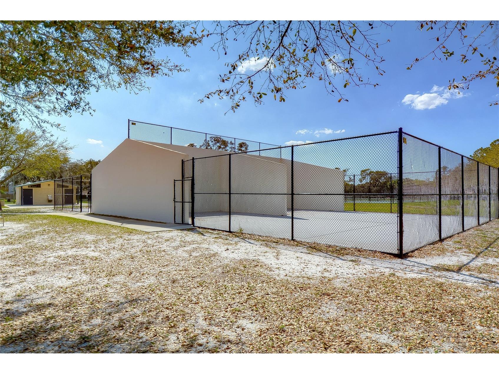 3805 Bell Grande Drive Valrico FL 33596 TB8442361 image34